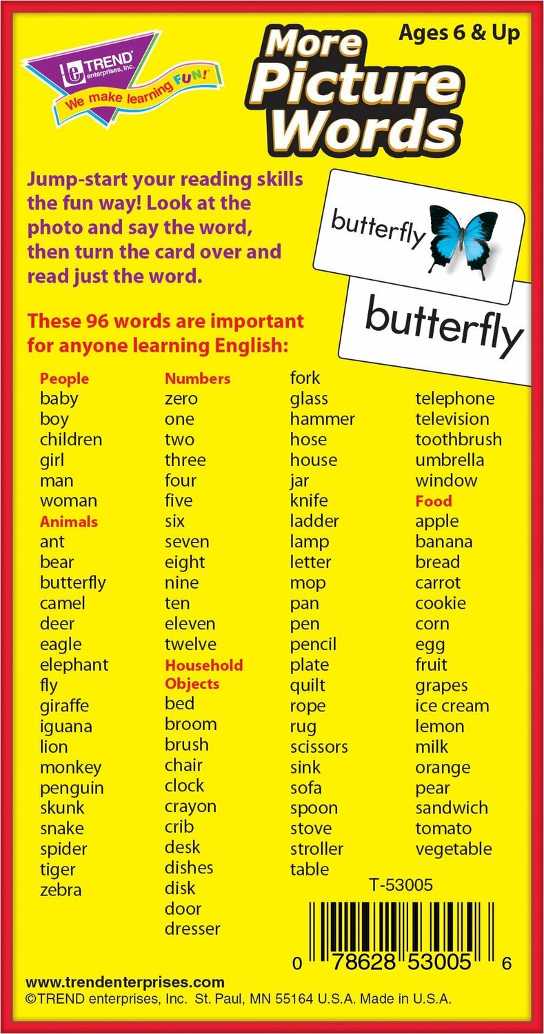 More Picture Words Skill Drill Flash Cards