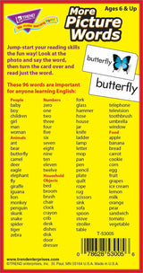 More Picture Words Skill Drill Flash Cards