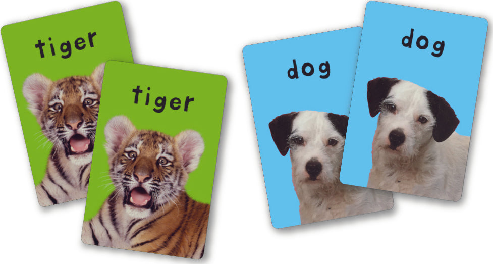 First 100 Animals Matching Card Game