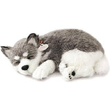 Alaskan Husky