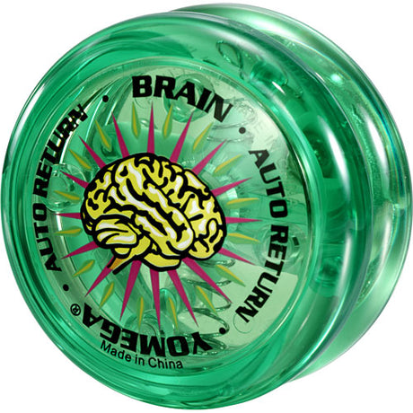 Brain